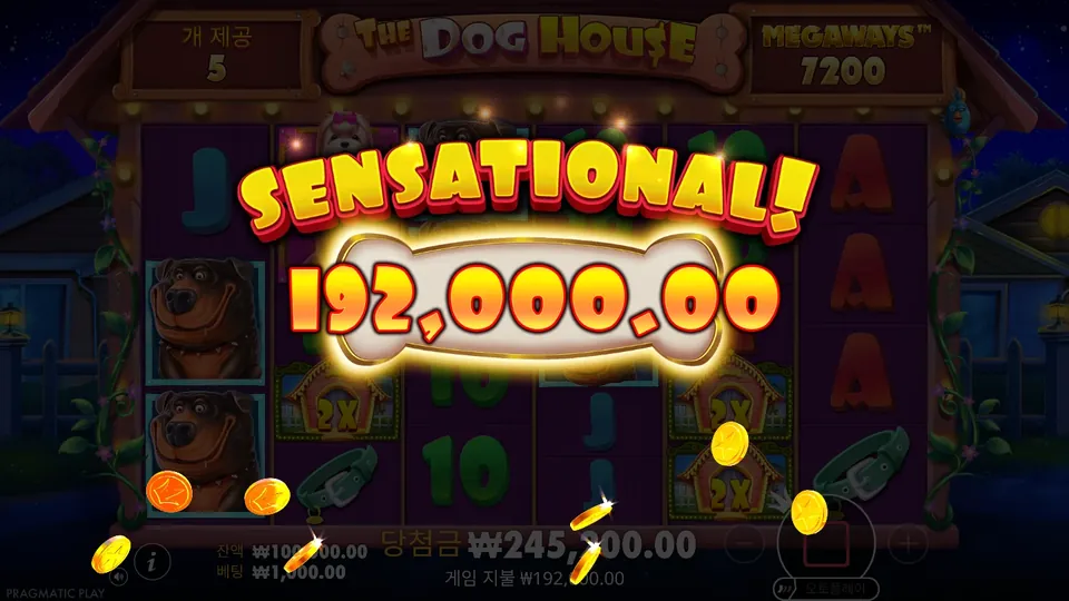 떨어진 와일드 세 개가 곱해진 한 스핀 레인 와일드 프리스핀 중 SENSATIONAL! ₩192,000 당첨